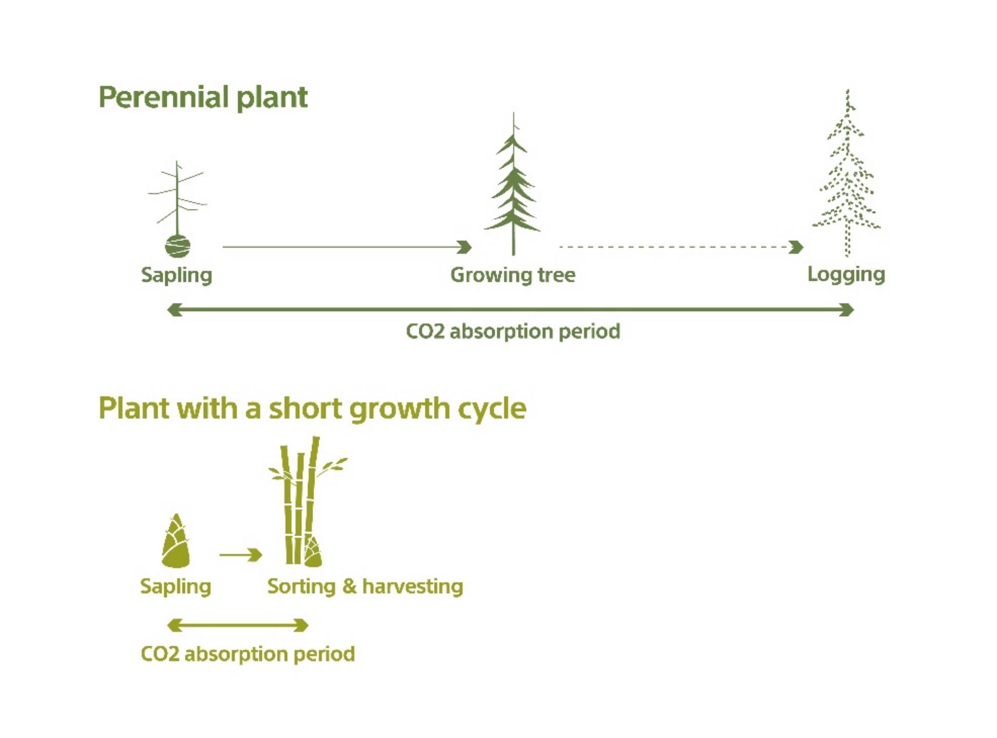 索尼开发出一种可持续性纸质材料：原生混合材料-家电圈官网