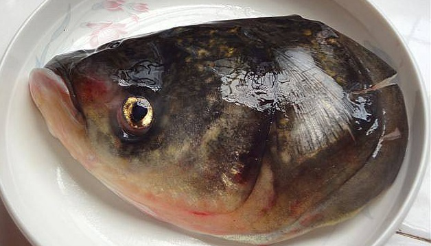 鱼头真的含有重金属吗？鱼头和鱼身，哪个营养价值更高？休闲区蓝鸢梦想 - Www.slyday.coM