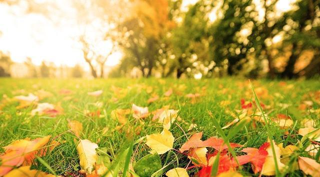 韦应物20多岁才开始学作诗,后自成一体:学习从何时开始都不晚休闲区蓝鸢梦想 - Www.slyday.coM 韦应物20多岁才开始学作诗,后自成一体:学习从何时开始都不晚休闲区蓝鸢梦想 - Www.slyday.coM