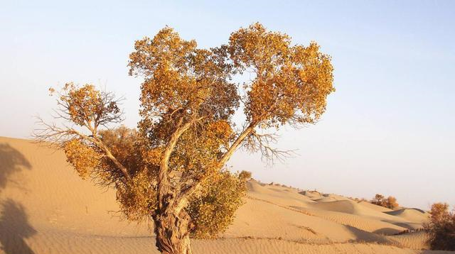 中国面积最大的县：人口仅6万面积有2个<a href=