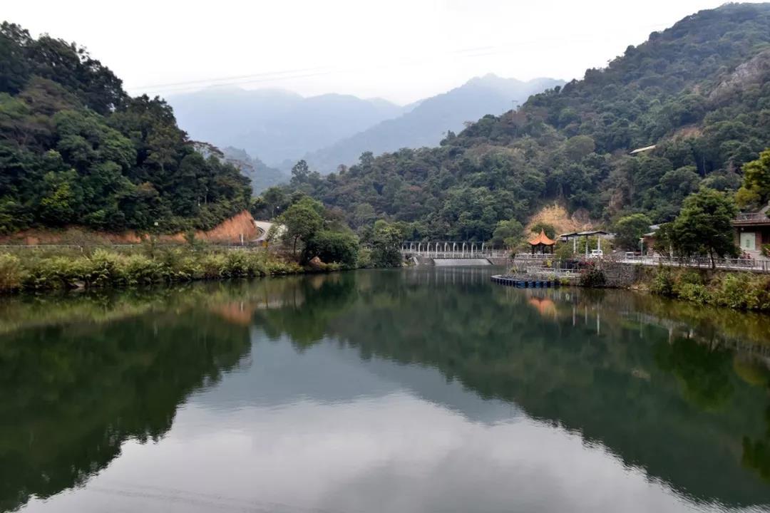 探访秋枫寨旅游区赏原始森林的四季风情适合周末散心