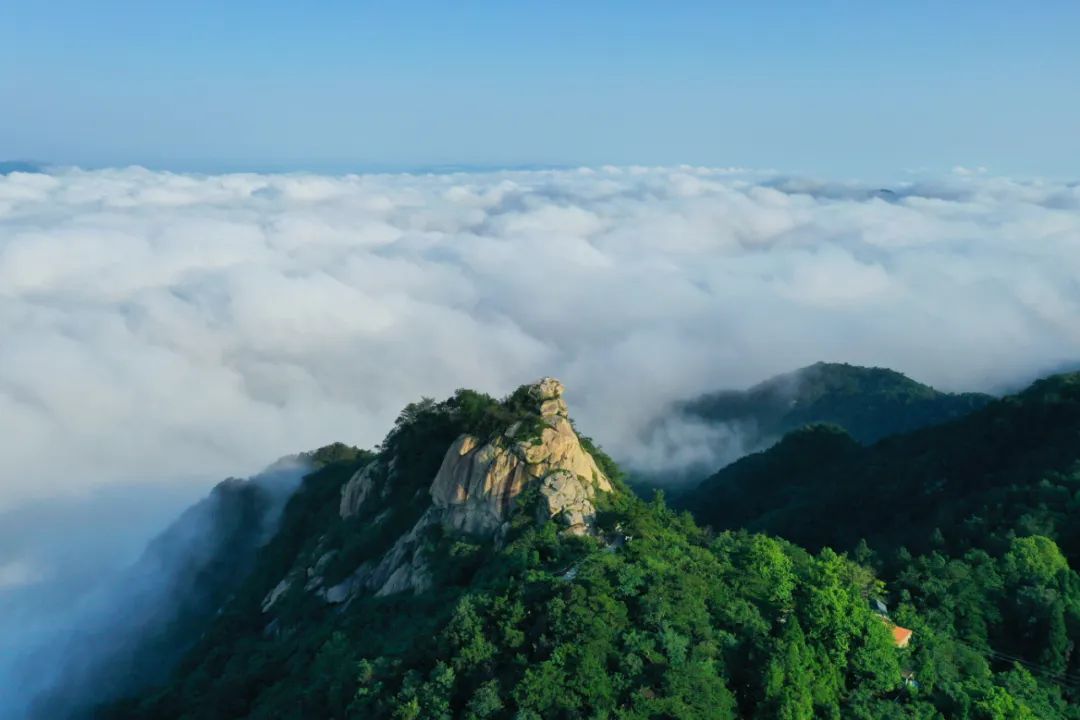 仲夏如约而至凭本人今年高考准考证可享受鸡公山主景区免门票优惠