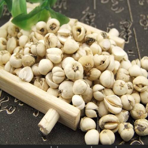 乃东区索朗村带领群众种植藏贝母致富记:躬耕沃土跑出"加速度"