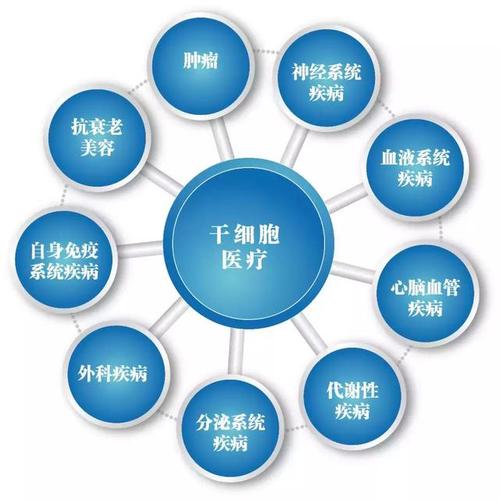 如何在混乱干细胞市场做出正确的选择