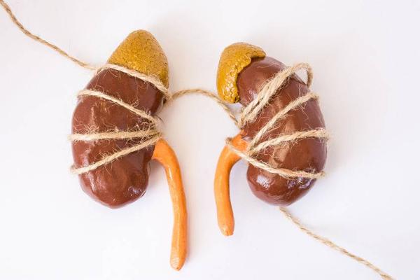 查出肾结石,不妨试试这5个方法,或不用手术,也能排除结石休闲区蓝鸢梦想 - Www.slyday.coM 查出肾结石,不妨试试这5个方法,或不用手术,也能排除结石休闲区蓝鸢梦想 - Www.slyday.coM