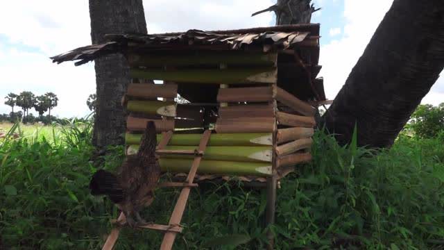 农村大叔隐居深山,利用竹子自制简易鸡舍,这手艺真是太厉害了