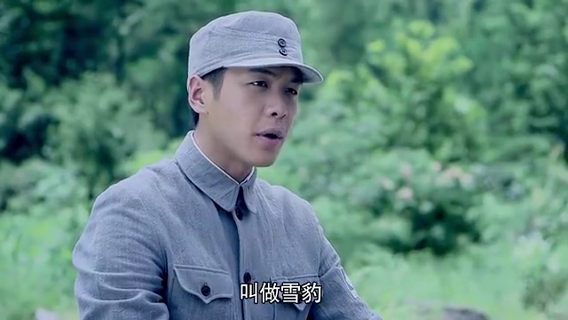 10:35 新雪豹:周卫国组建雪豹特战队,比划战斗手语,就捉了铁牛 05:34