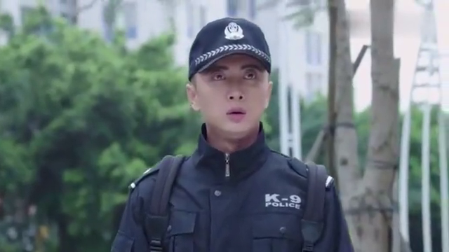 警犬来啦:梁粤主人回归,花哨花式迎接,全队开启追狗大赛笑趴了