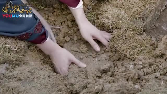 白头宫女林秀曼挖出树下锦盒拜别银容