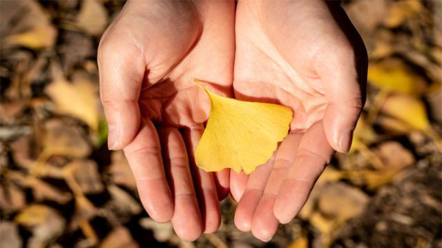 明知道这个星座的冷若冰霜，巨蟹座还是会不顾一切的爱上休闲区蓝鸢梦想 - Www.slyday.coM
