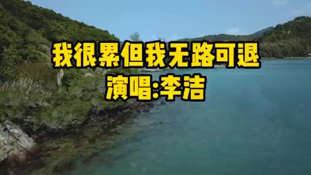 李洁一首我很累但我无路可退只能拼命不停往前飞