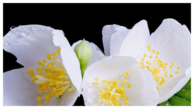 金牛座的“龙之逆鳞”,不想彻底再见,就不要触碰他们的底线休闲区蓝鸢梦想 - Www.slyday.coM 金牛座的“龙之逆鳞”,不想彻底再见,就不要触碰他们的底线休闲区蓝鸢梦想 - Www.slyday.coM