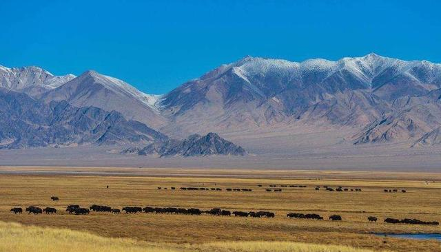 中国面积最大的县：人口仅6万面积有2个<a href=