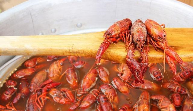 想吃龙虾不会做怎么办?我来教你做麻辣小龙虾,麻辣过瘾越吃越香休闲区蓝鸢梦想 - Www.slyday.coM 想吃龙虾不会做怎么办?我来教你做麻辣小龙虾,麻辣过瘾越吃越香休闲区蓝鸢梦想 - Www.slyday.coM