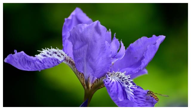 金牛座的“龙之逆鳞”,不想彻底再见,就不要触碰他们的底线休闲区蓝鸢梦想 - Www.slyday.coM 金牛座的“龙之逆鳞”,不想彻底再见,就不要触碰他们的底线休闲区蓝鸢梦想 - Www.slyday.coM