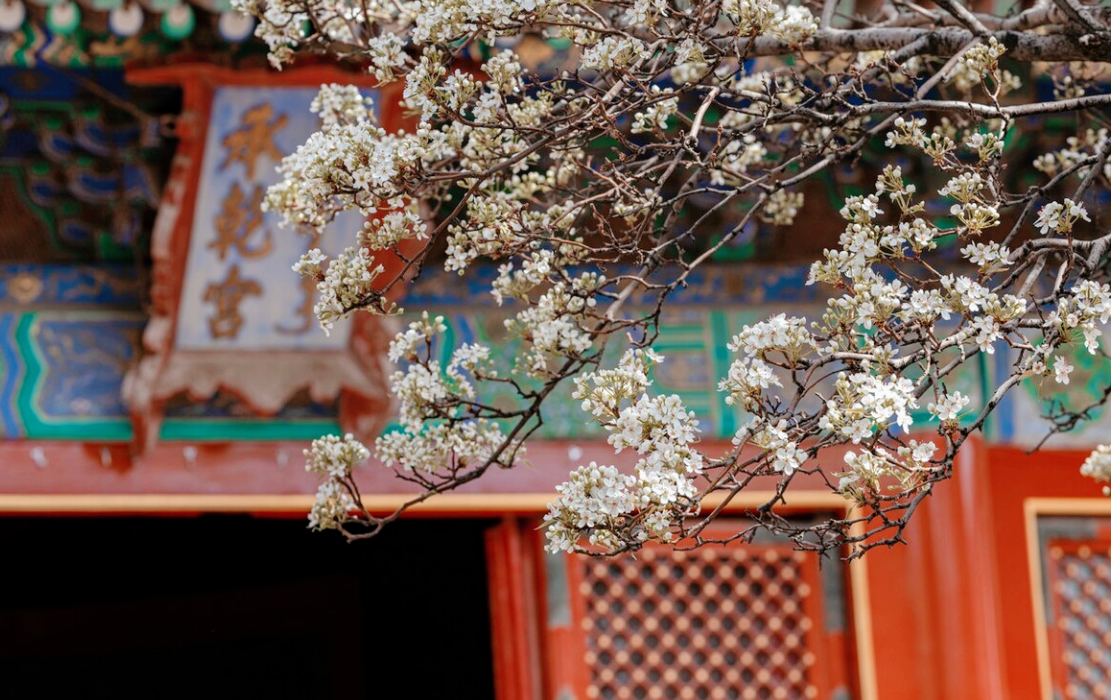 二百二二维码到底是什么?新手必看指南