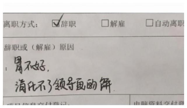 95后大学生辞职信火了，原因很是嚣张，老板看后觉得自己欠员工的休闲区蓝鸢梦想 - Www.slyday.coM