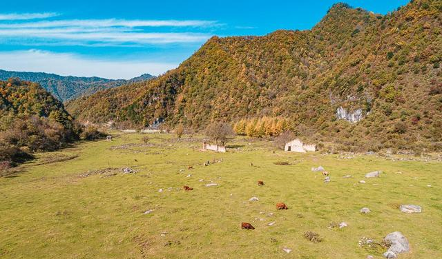 秦岭山中的世外桃源,像极了游戏中的场景,在这里做一天的放牛郎休闲区蓝鸢梦想 - Www.slyday.coM 秦岭山中的世外桃源,像极了游戏中的场景,在这里做一天的放牛郎休闲区蓝鸢梦想 - Www.slyday.coM