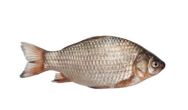 煎鱼时鱼下油锅后最忌讳这样做难怪鱼总是不成形破皮还沾锅