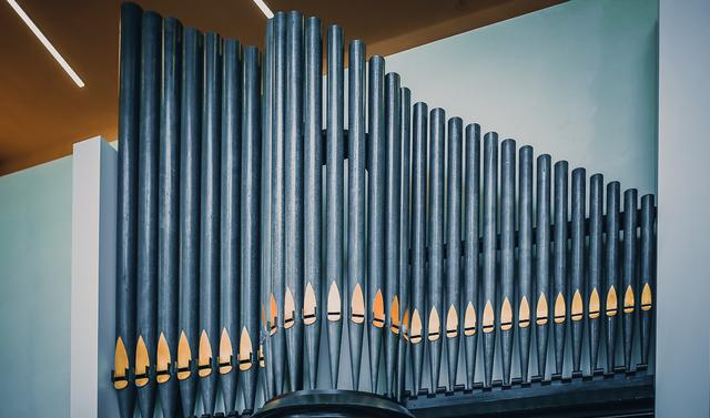 厦门这座小岛藏了一个“乐器之王”,很多游客都是第一次见到休闲区蓝鸢梦想 - Www.slyday.coM 厦门这座小岛藏了一个“乐器之王”,很多游客都是第一次见到休闲区蓝鸢梦想 - Www.slyday.coM