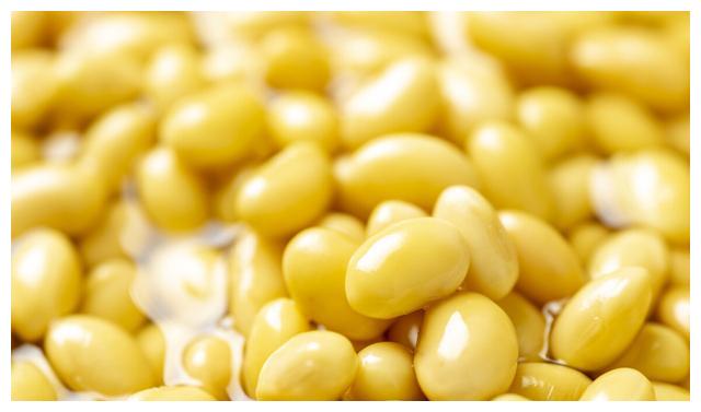 打豆浆时泡好的黄豆直接打是外行多加1步豆浆香浓细腻