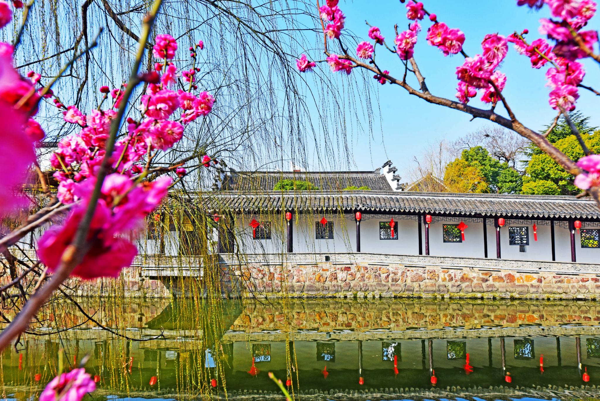 特教华光三十载，元旦新韵谱未来，是哪一个活动的主题？