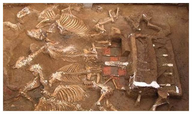 秦始皇最宠爱的女儿赢阴嫚墓被发现,考古现场一片哗然,怎么回事