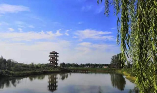 第一人口大县_浙江人口很少的县,县城常住居民只有3万人,还有一半是海外华侨