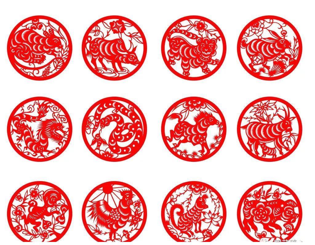 园艺疗法 | 你属啥 就有啥样的花|十二生肖|生肖|属相_新浪新闻