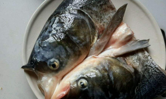 鱼头真的含有重金属吗？鱼头和鱼身，哪个营养价值更高？休闲区蓝鸢梦想 - Www.slyday.coM