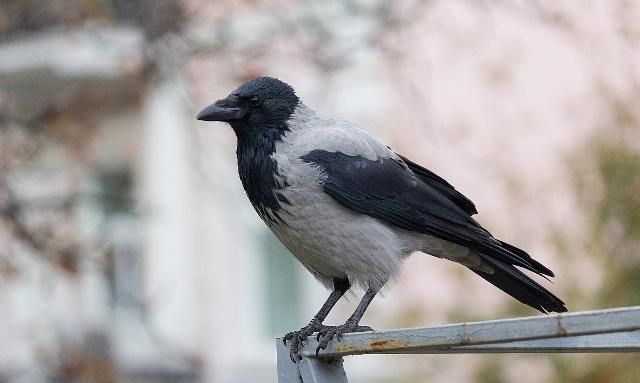什么牌子的羽绒多少钱亲民 (什么牌子的羽绒服最好最保暖)