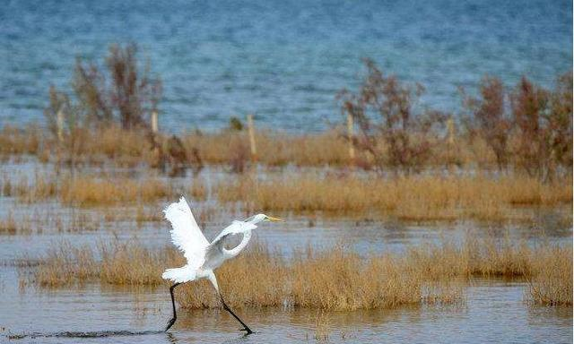 中国面积最大的县：人口仅6万面积有2个<a href=