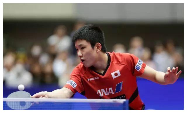 张本智和刚刚示弱仓岛洋介就豪放狂言到底是鼓励还是压力