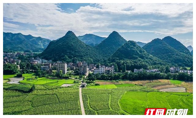 视频丨湖南蓝山:夏日田园美|蓝山|蓝山县|乡村田园_新浪新闻