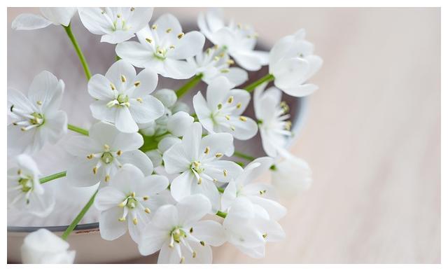 21年5月天秤座运势 好事多磨 只有奋发向上 才能取得好成绩 财经头条