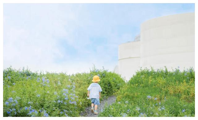 男孩起名 旭日东升 锦绣前程的男宝宝名字大全 锦绣前程 男宝宝 人名 新浪新闻