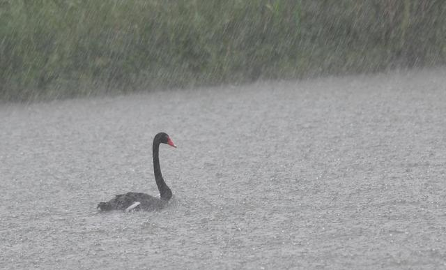 能够原谅老公出轨的三大星座，是真的豁达，还是另有“算计”？休闲区蓝鸢梦想 - Www.slyday.coM