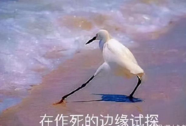 人类幼崽的成长有多感人 人类幼崽的迷惑行为休闲区蓝鸢梦想 - Www.slyday.coM