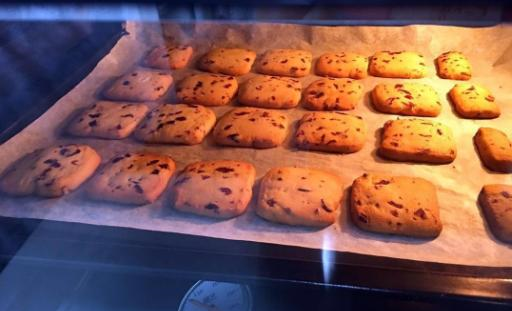 喜欢吃蔓越莓饼干别再出去买了,教你自己在家做,做法简单又好吃休闲区蓝鸢梦想 - Www.slyday.coM 喜欢吃蔓越莓饼干别再出去买了,教你自己在家做,做法简单又好吃休闲区蓝鸢梦想 - Www.slyday.coM