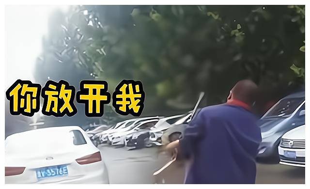 山东一男孩撕心裂肺哭喊“妈妈别走”，还脚踢爸爸：我就不跟着你