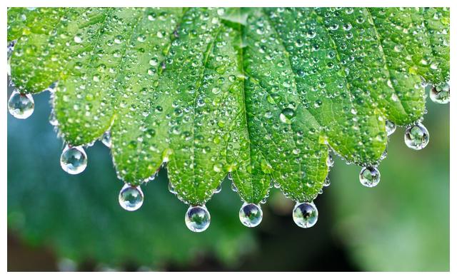 癸水的象意|膀胱|水果业|修鞋匠_新浪新闻