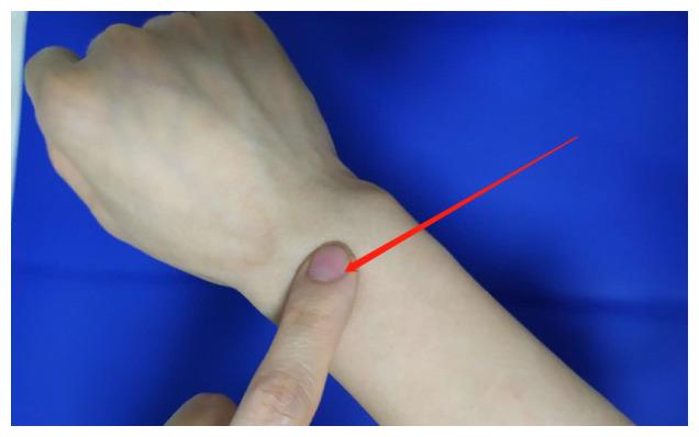 的背面有一个突起的骨头,然后拳头向内扣,在骨头的上方与腕横纹平行