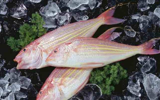 鱼肉营养价值高,懂行人推荐的这几种,都是纯野生,好吃还不贵!