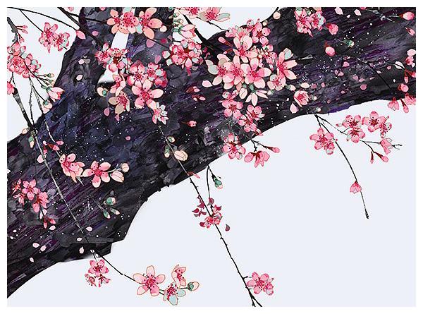 女人不该犯的“两种错”，她都占全了：晚景凄凉是有原因的休闲区蓝鸢梦想 - Www.slyday.coM