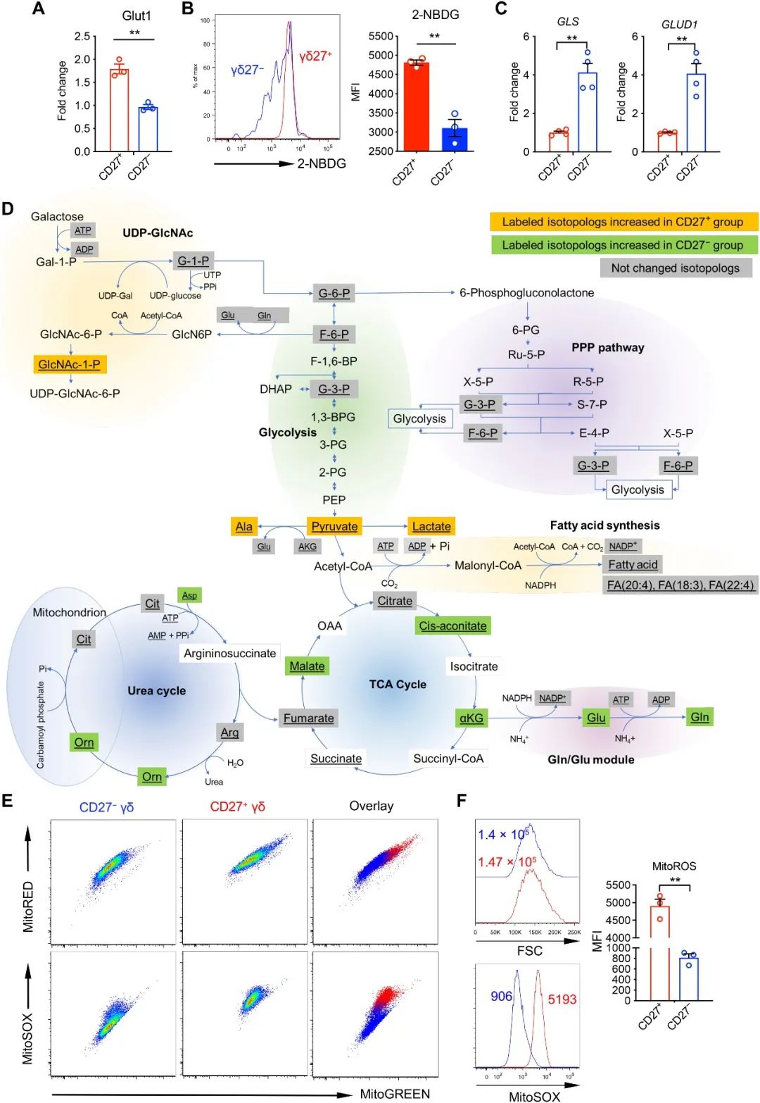 单细胞转录组测序上海交通大学医学院附属第九人民医院检验科