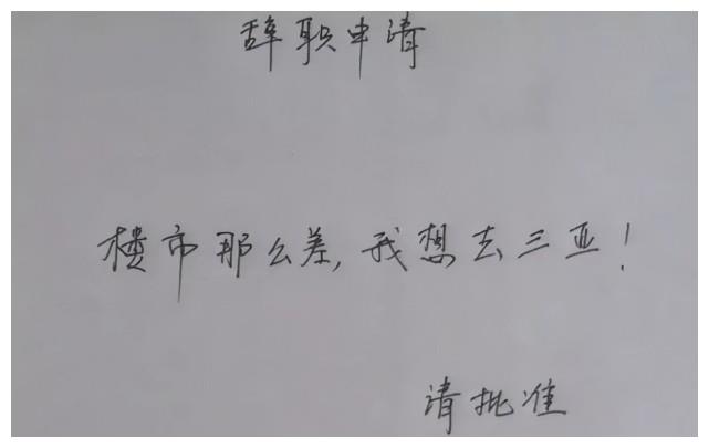 95后大学生辞职信火了，原因很是嚣张，老板看后觉得自己欠员工的休闲区蓝鸢梦想 - Www.slyday.coM