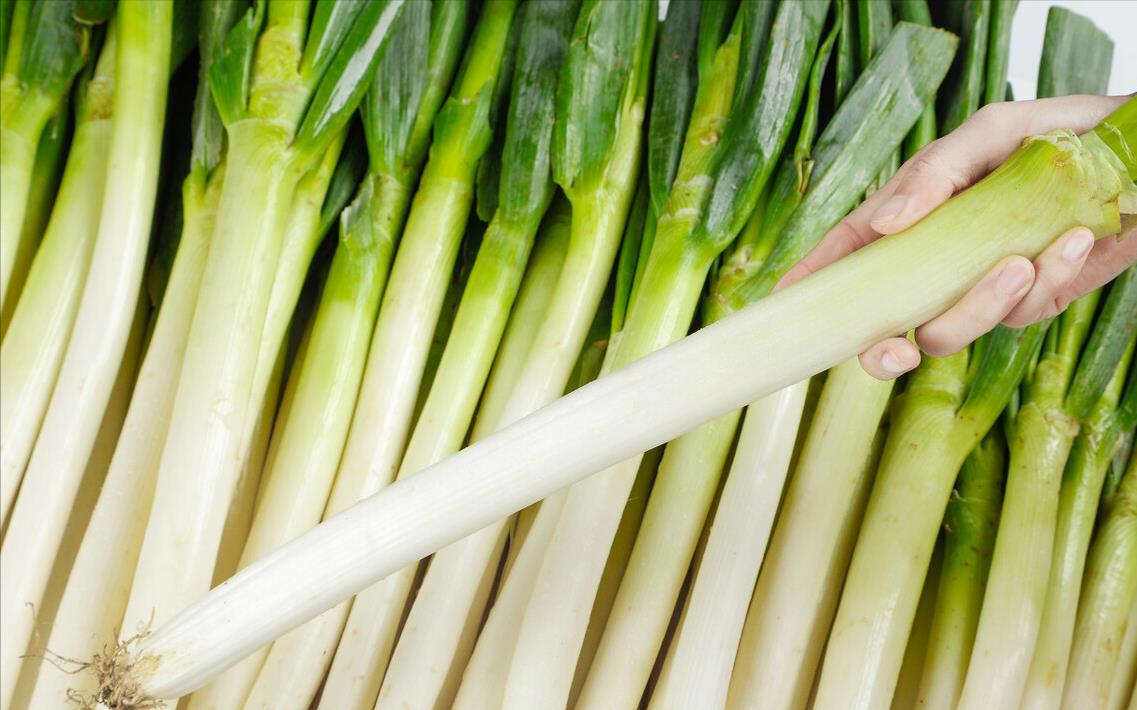 绿豆煮不烂怎么办 快速煮烂绿豆的小窍门