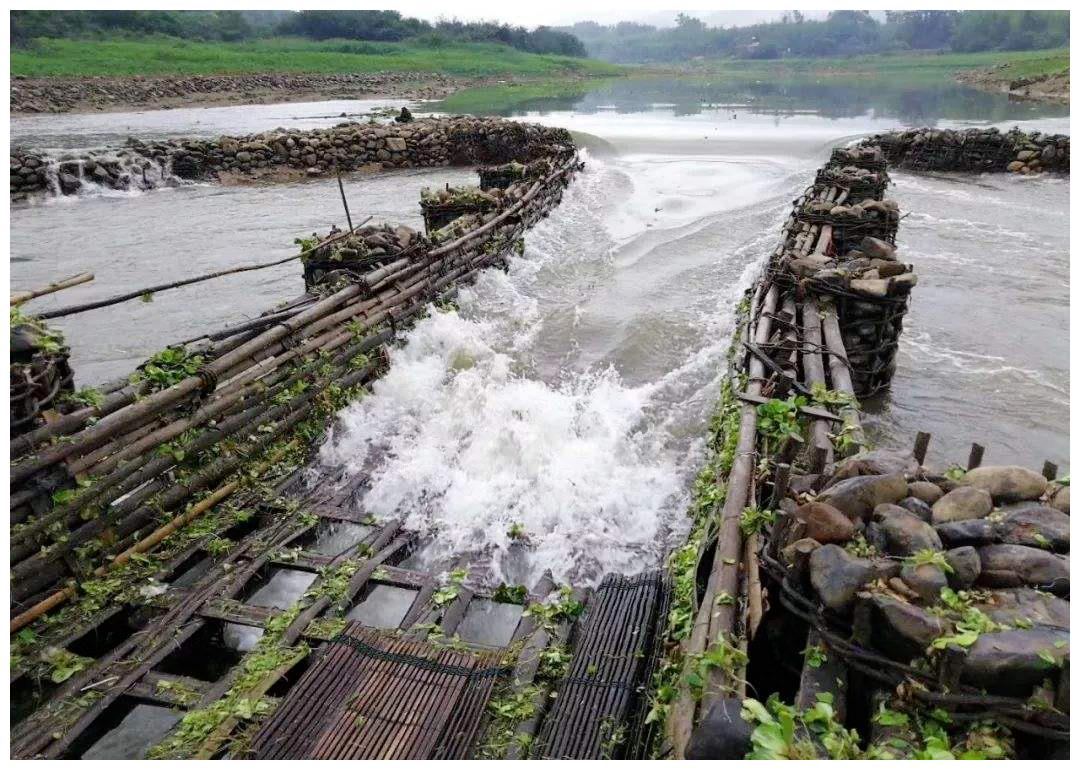 游连平田源肖屋村山水相依传承鱼梁