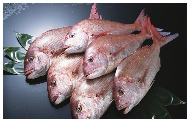 真鲷,俗称红加腊,红加吉,铜盆鱼,大头鱼,小红鳞,加腊,赤鲫,赤板,红鲷