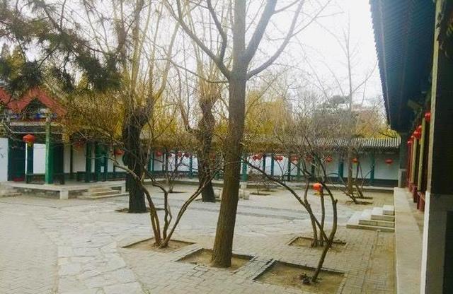 《红楼梦》大观园蘅芜院比较大，贾政安排宝钗入住有原因休闲区蓝鸢梦想 - Www.slyday.coM